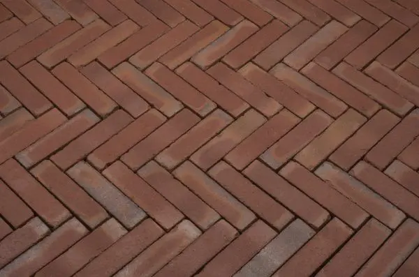Visgraatverband